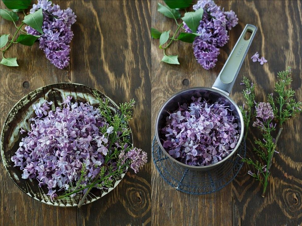 decoction of lilac to improve potency