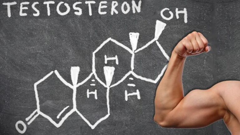 Testosterone is the main male sex hormone.